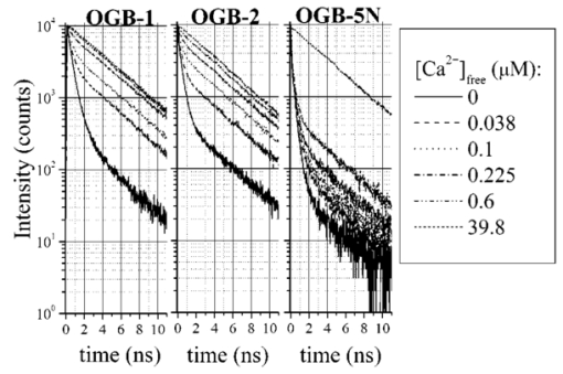 030406j.2.jpg